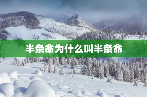 半条命为什么叫半条命