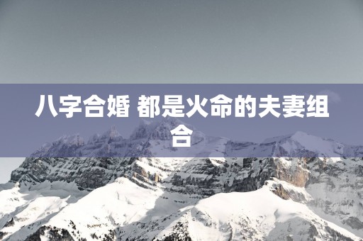 八字合婚 都是火命的夫妻组合