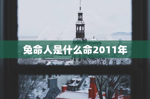 兔命人是什么命2011年