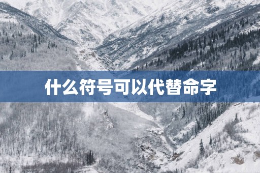 什么符号可以代替命字