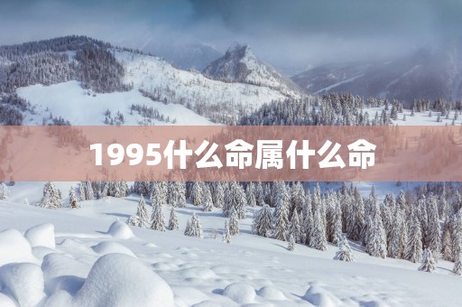 1995什么命属什么命