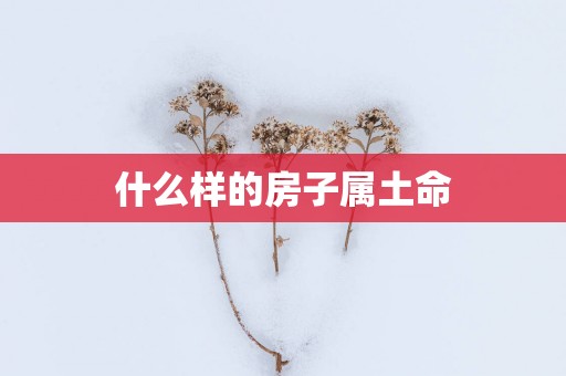 什么样的房子属土命