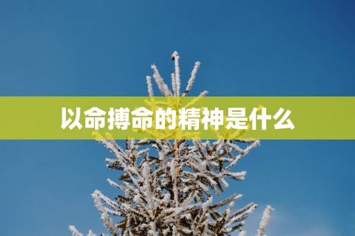 以命搏命的精神是什么