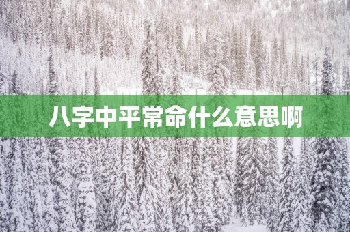 八字中平常命什么意思啊