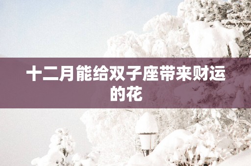 十二月能给双子座带来财运的花
