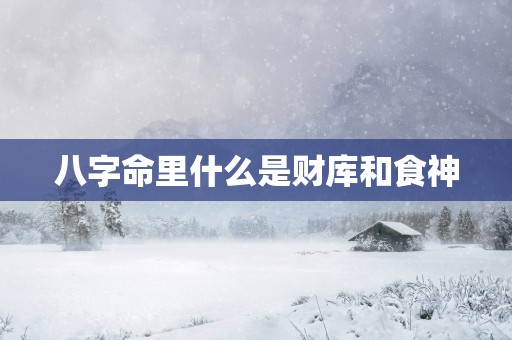 八字命里什么是财库和食神