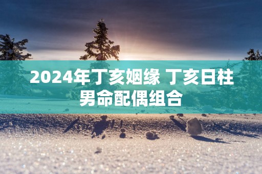 2025年丁亥姻缘 丁亥日柱男命配偶组合