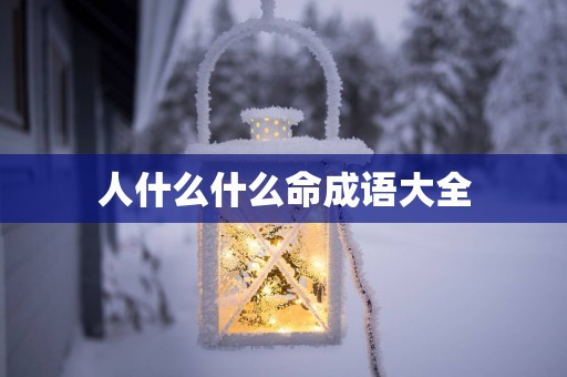 人什么什么命成语大全
