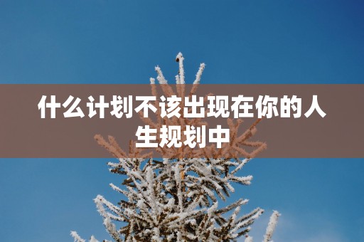 什么计划不该出现在你的人生规划中