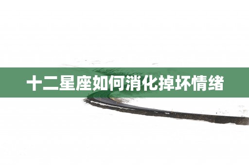 十二星座如何消化掉坏情绪