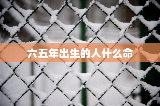 六五年出生的人什么命