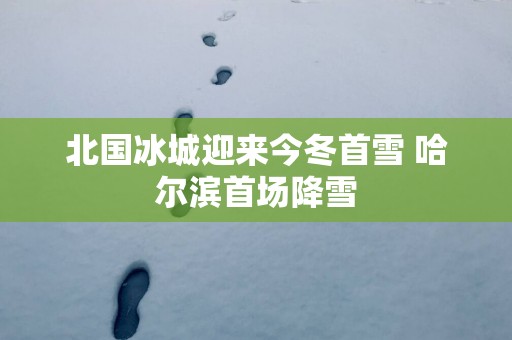 北国冰城迎来今冬首雪 哈尔滨首场降雪