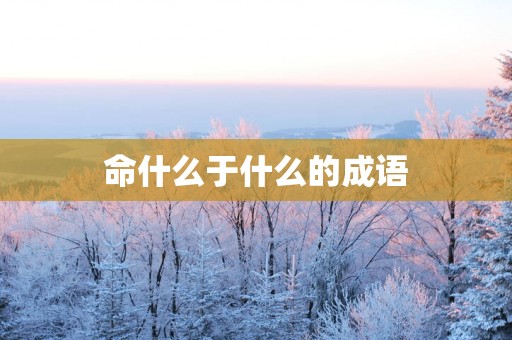 命什么于什么的成语