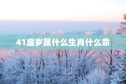 41虚岁属什么生肖什么命