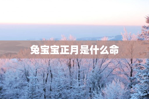 兔宝宝正月是什么命