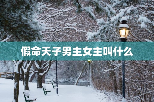 假命天子男主女主叫什么