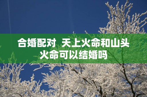 合婚配对  天上火命和山头火命可以结婚吗