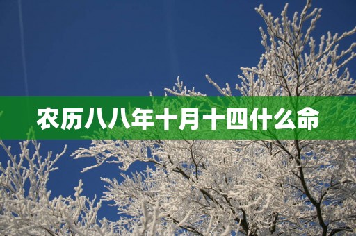 农历八八年十月十四什么命