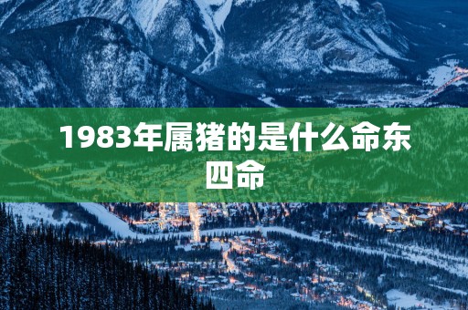 1983年属猪的是什么命东四命