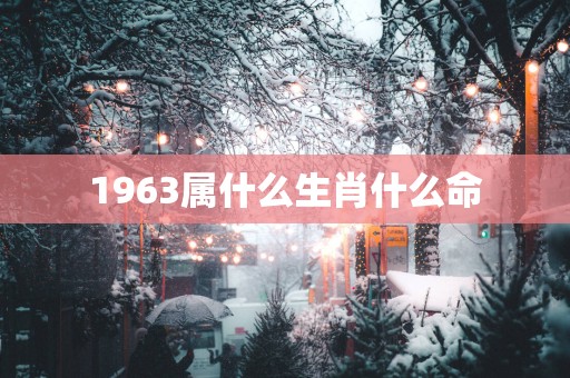 1963属什么生肖什么命