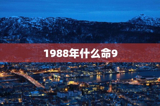 1988年什么命9