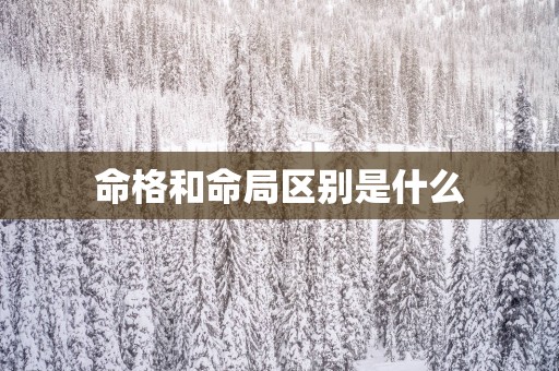 命格和命局区别是什么