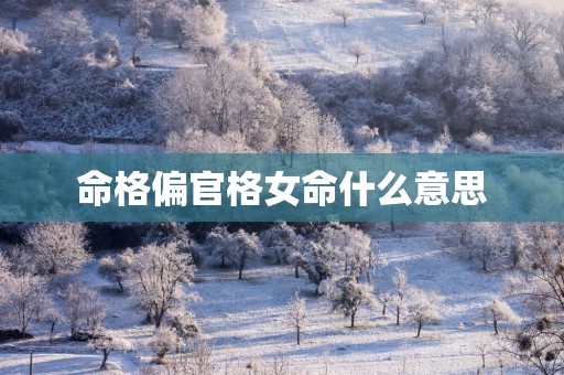 命格偏官格女命什么意思