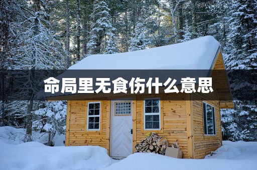命局里无食伤什么意思