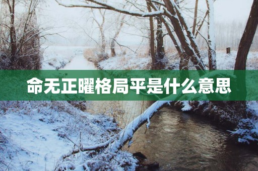 命无正曜格局平是什么意思
