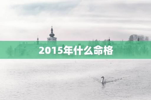 2015年什么命格