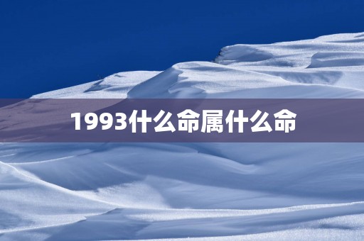 1993什么命属什么命