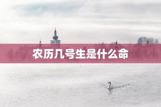 农历几号生是什么命