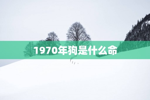 1970年狗是什么命