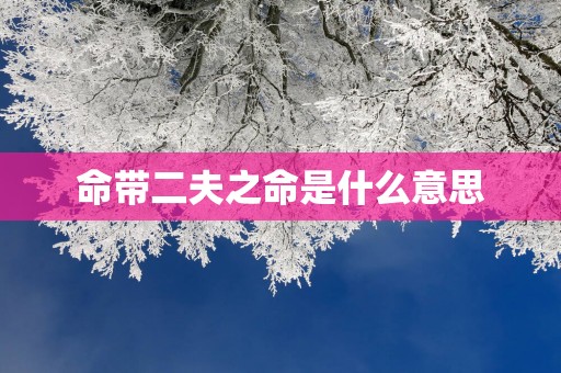 命带二夫之命是什么意思