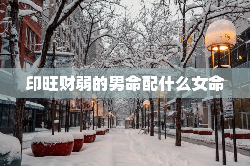 印旺财弱的男命配什么女命