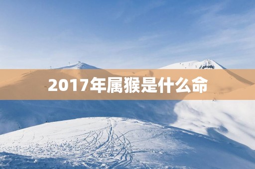 2017年属猴是什么命