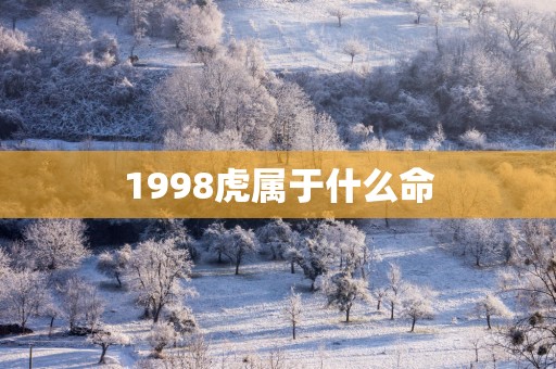 1998虎属于什么命