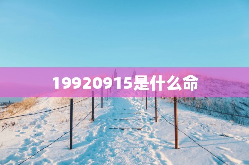 19920915是什么命