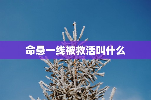 命悬一线被救活叫什么