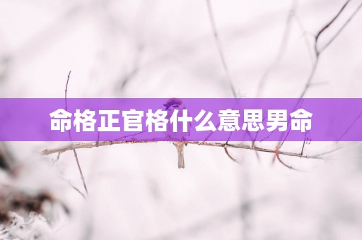 命格正官格什么意思男命