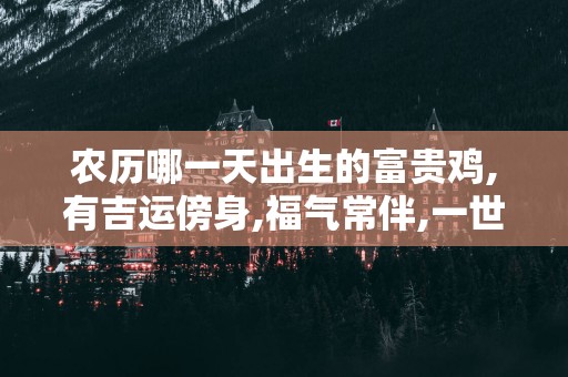 农历哪一天出生的富贵鸡,有吉运傍身,福气常伴,一世一富贵!
