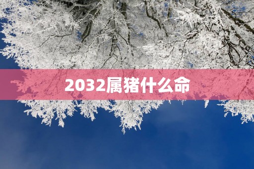 2032属猪什么命