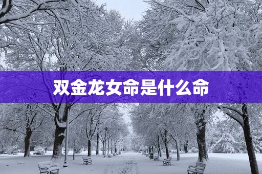 双金龙女命是什么命