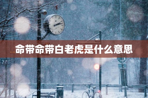 命带命带白老虎是什么意思
