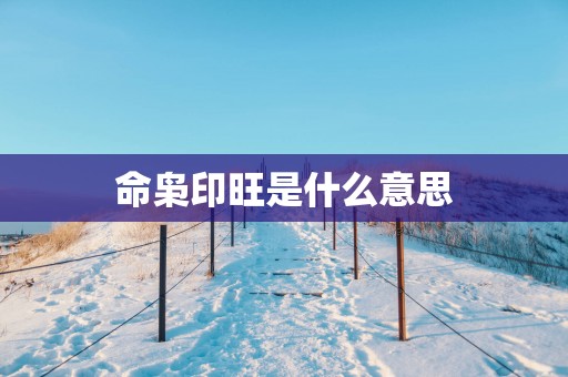 命枭印旺是什么意思