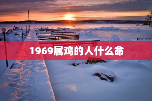 1969属鸡的人什么命