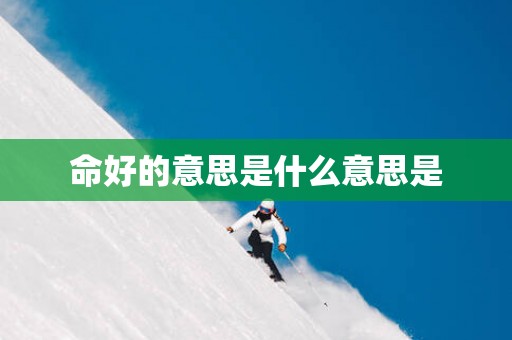 命好的意思是什么意思是