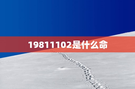 19811102是什么命
