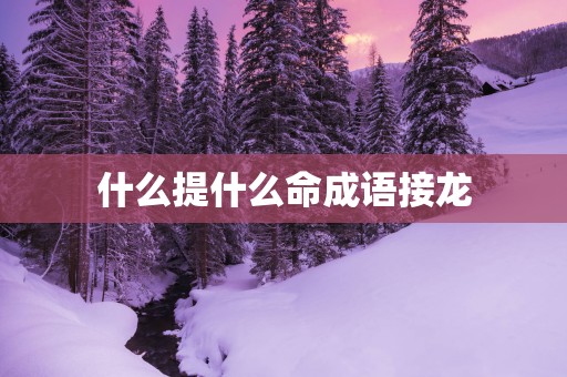 什么提什么命成语接龙