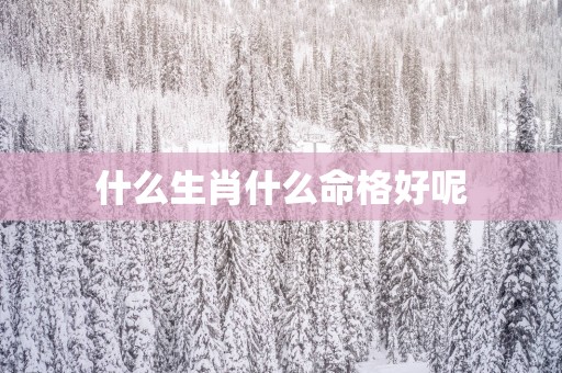 什么生肖什么命格好呢